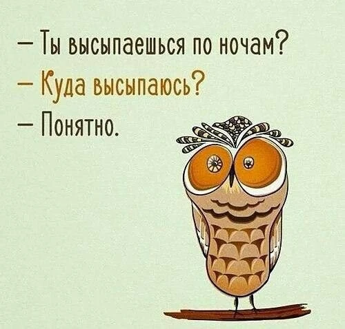 🦉😁