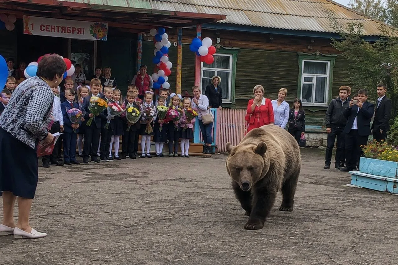 1 сентября, говорите? В Слюдянском районе сегодня решили не рисковать и отменили школьн...