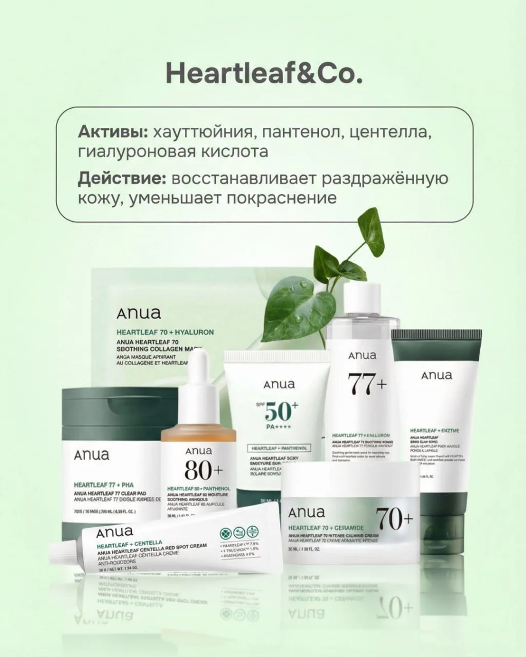 Гайд по линейкам Anua  🔎  Бренд делает акцент на натуральных составах, минималистичных формулах и вы