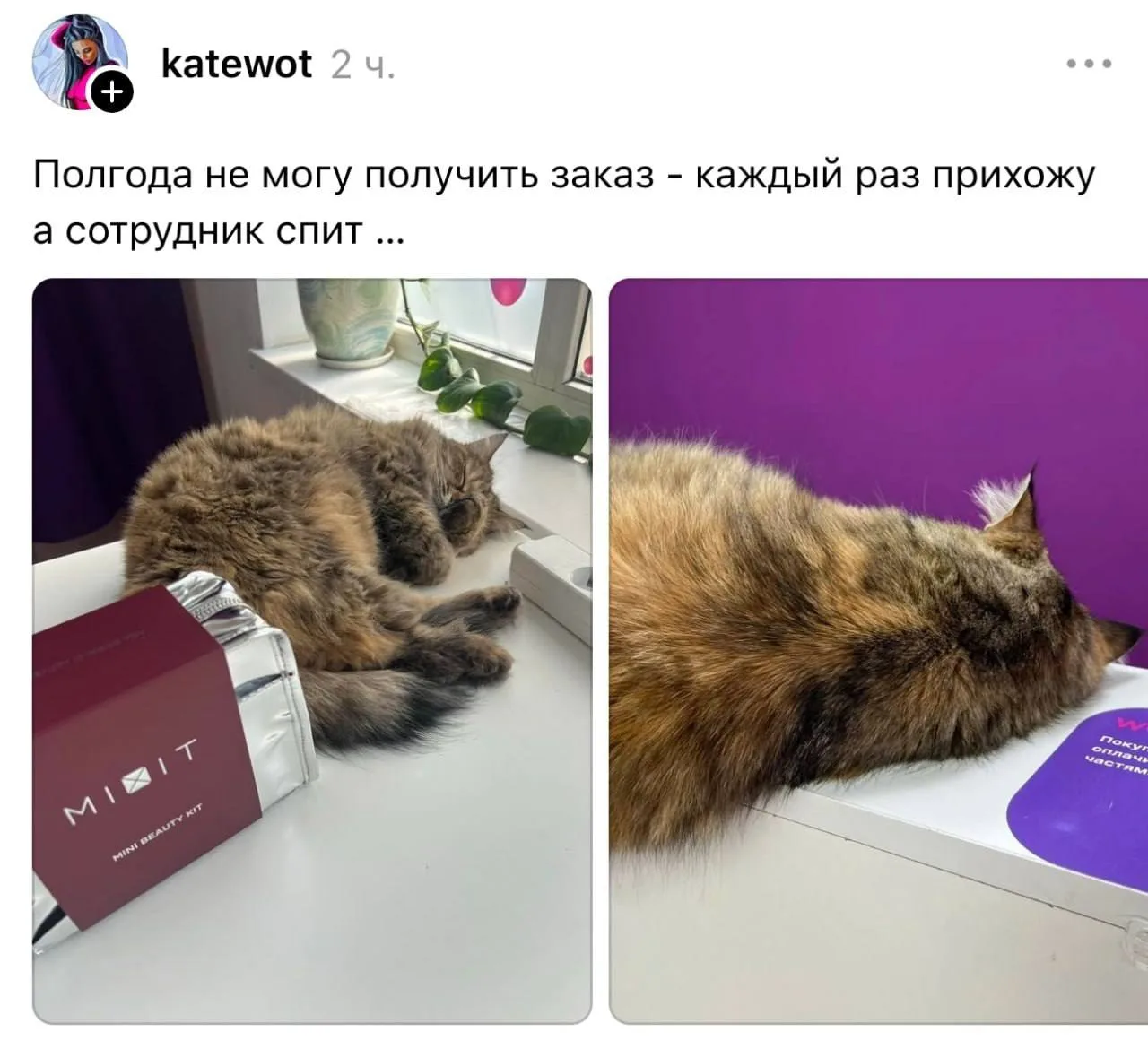 Тот самый сотрудник, который получит хорошие оценки даже за сон в рабочее время