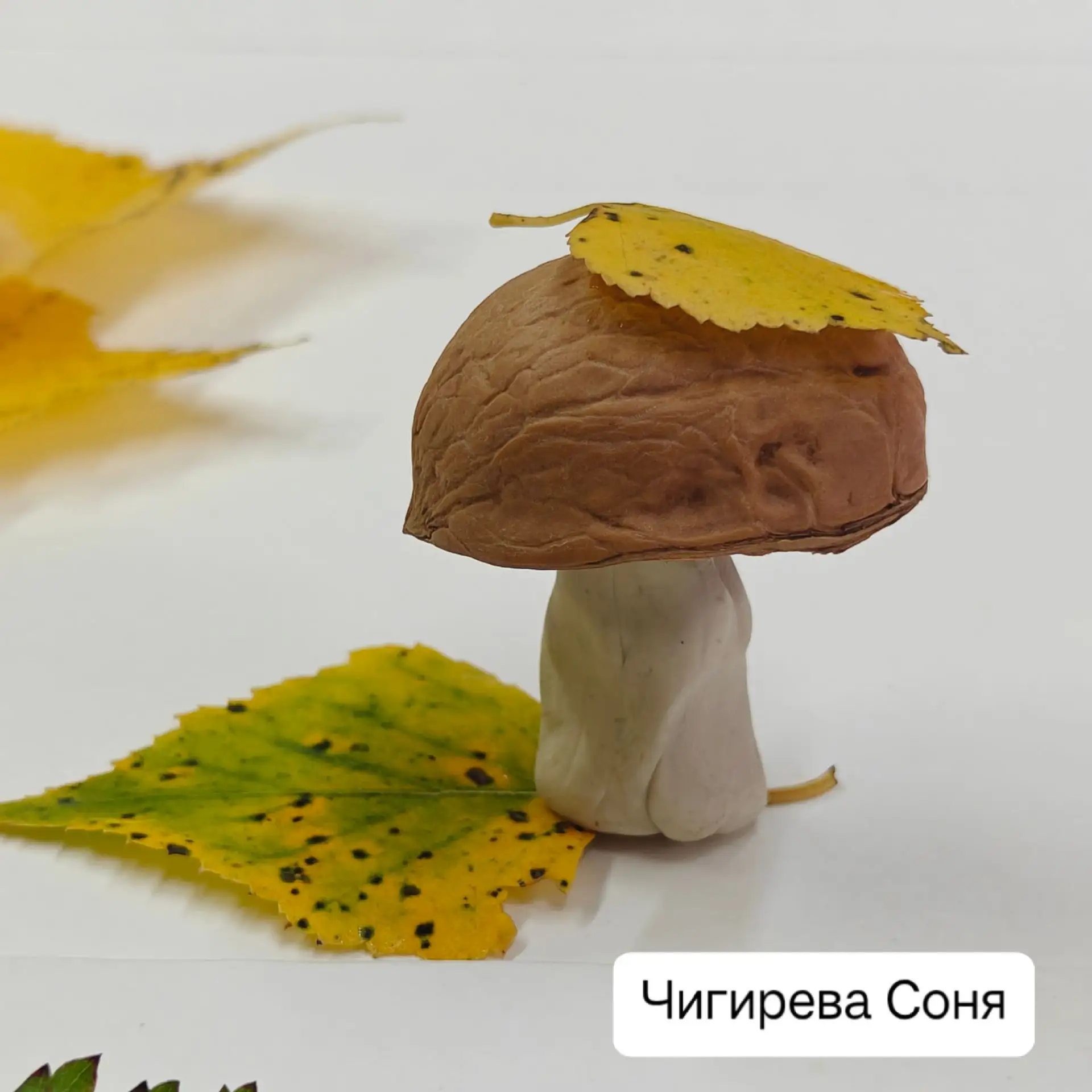 🐭🍄🦢🐞🦆И вот какие замечательные поделки у нас получились: мышка, грибок, лебедь, бо...