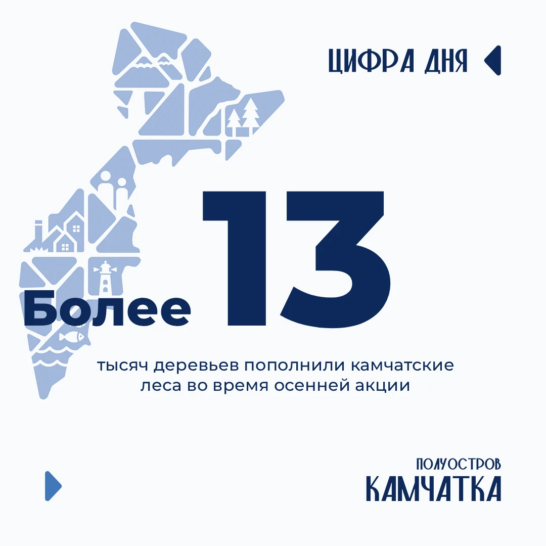 Более 13 тысяч деревьев пополнили камчатские леса во время осенней акции