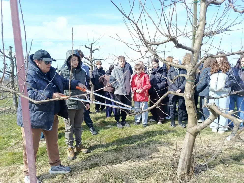 В гостях у агропромышленного комплекса: образовательная профориентационная поездка в КФХ «Калина»  В