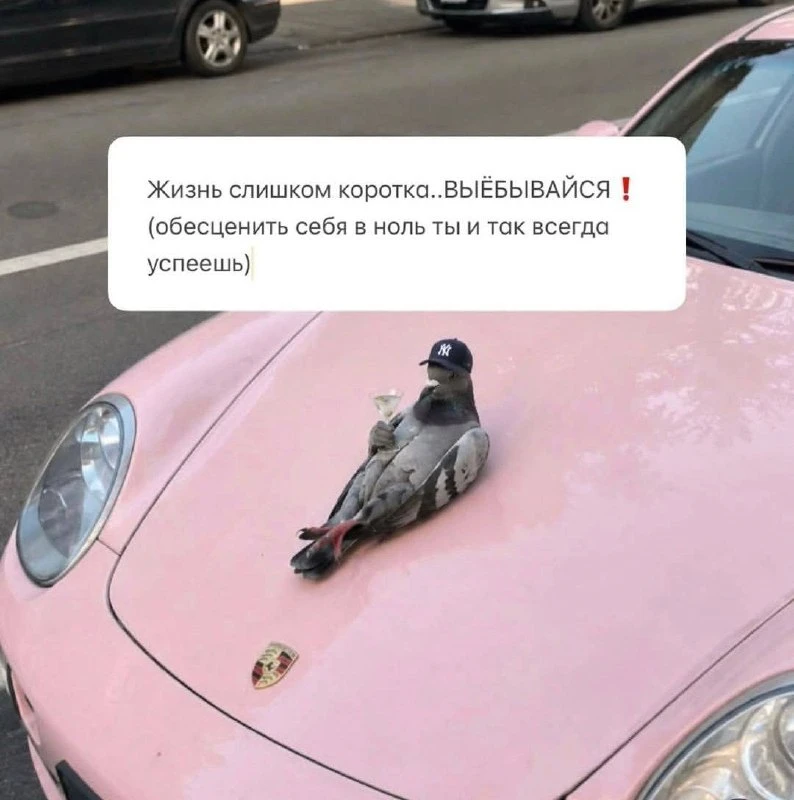 А почему бы и ДА!!