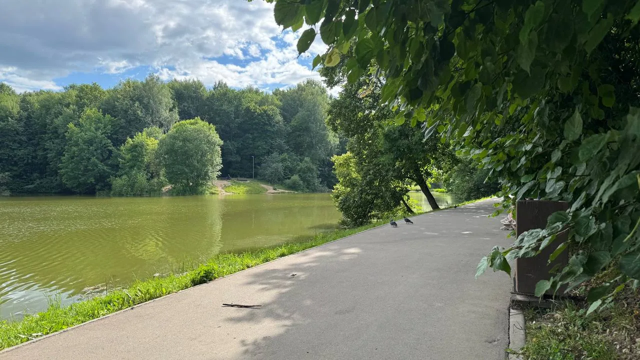 🌳 Щёлоковский хутор в Нижнем Новгороде — это вам не только музей!
