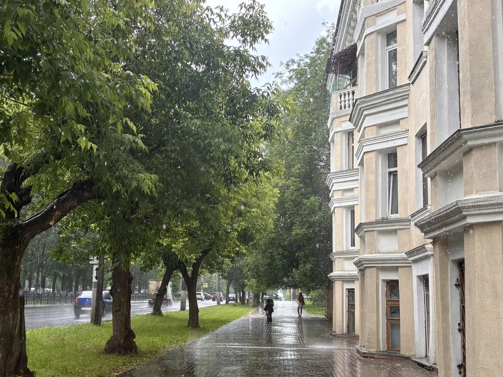 🌧️⚡️18 июня в Кирове будет облачно с прояснениями. Днём дождь и гроза.

Ветер: ночью южный, 5-10 м/