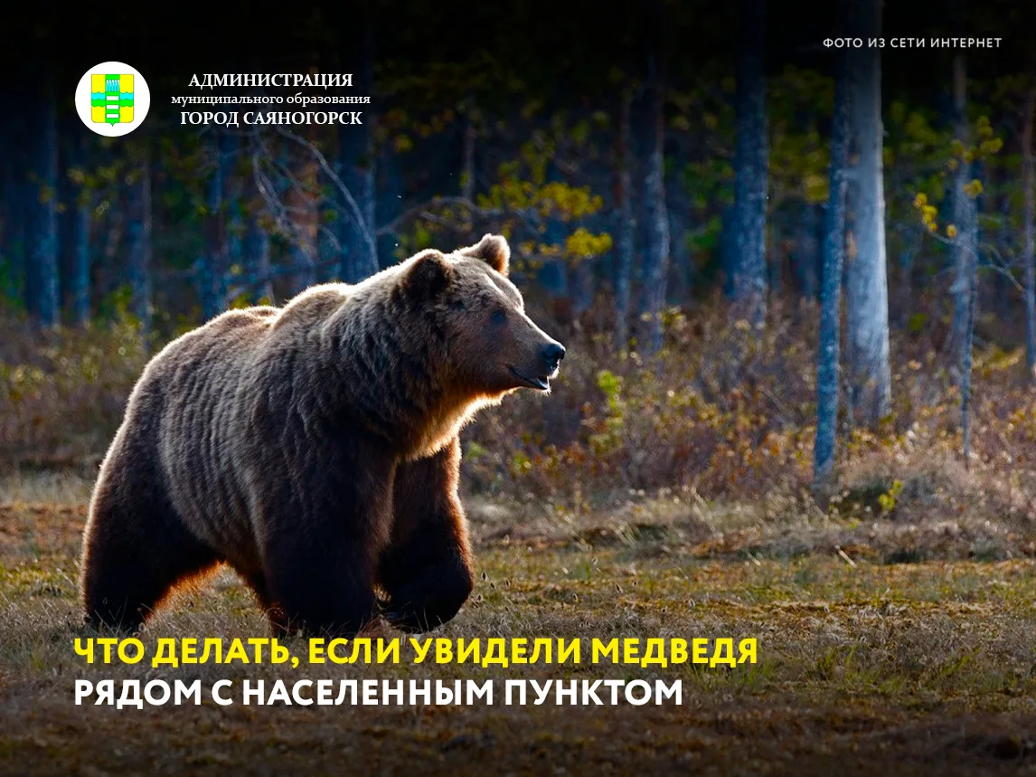 Напоминаем, что в связи с участившимися случаями выхода бурого медведя в непосредственн...
