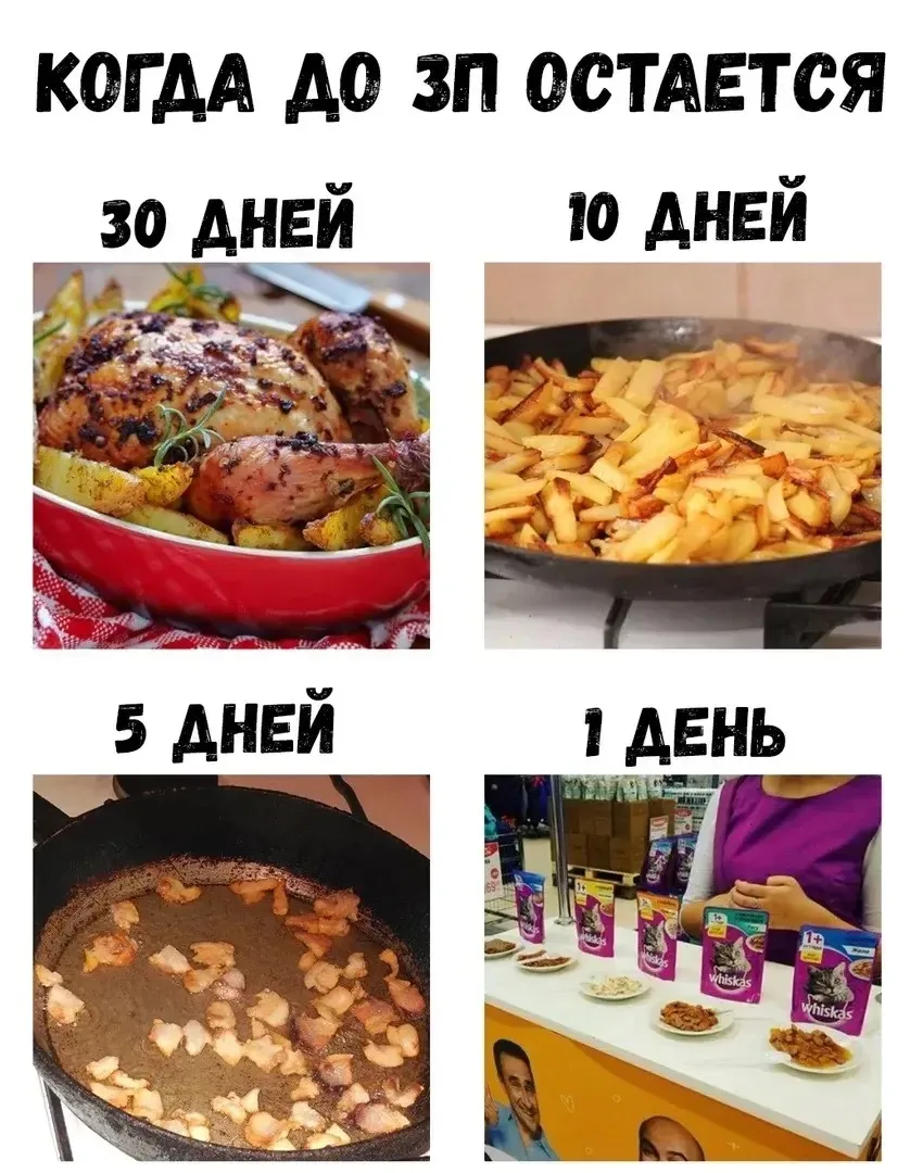 Без денег сложно

Вот это смешно:D