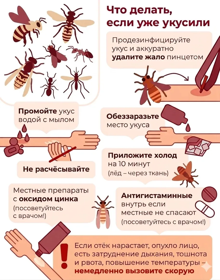 ☀️Лето — это солнце, пляж, дача, шашлыки и... насекомые. Чтобы зуд и отеки не испортили вам теплые д