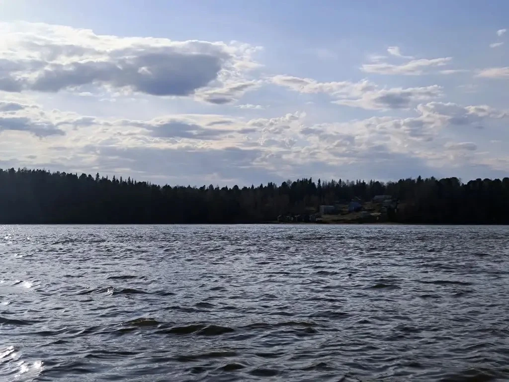 Прогноз погоды 🌤️  Сегодня в Мужах малооблачно. Без осадков. Температура воздуха +12…+15.  Ветер сев