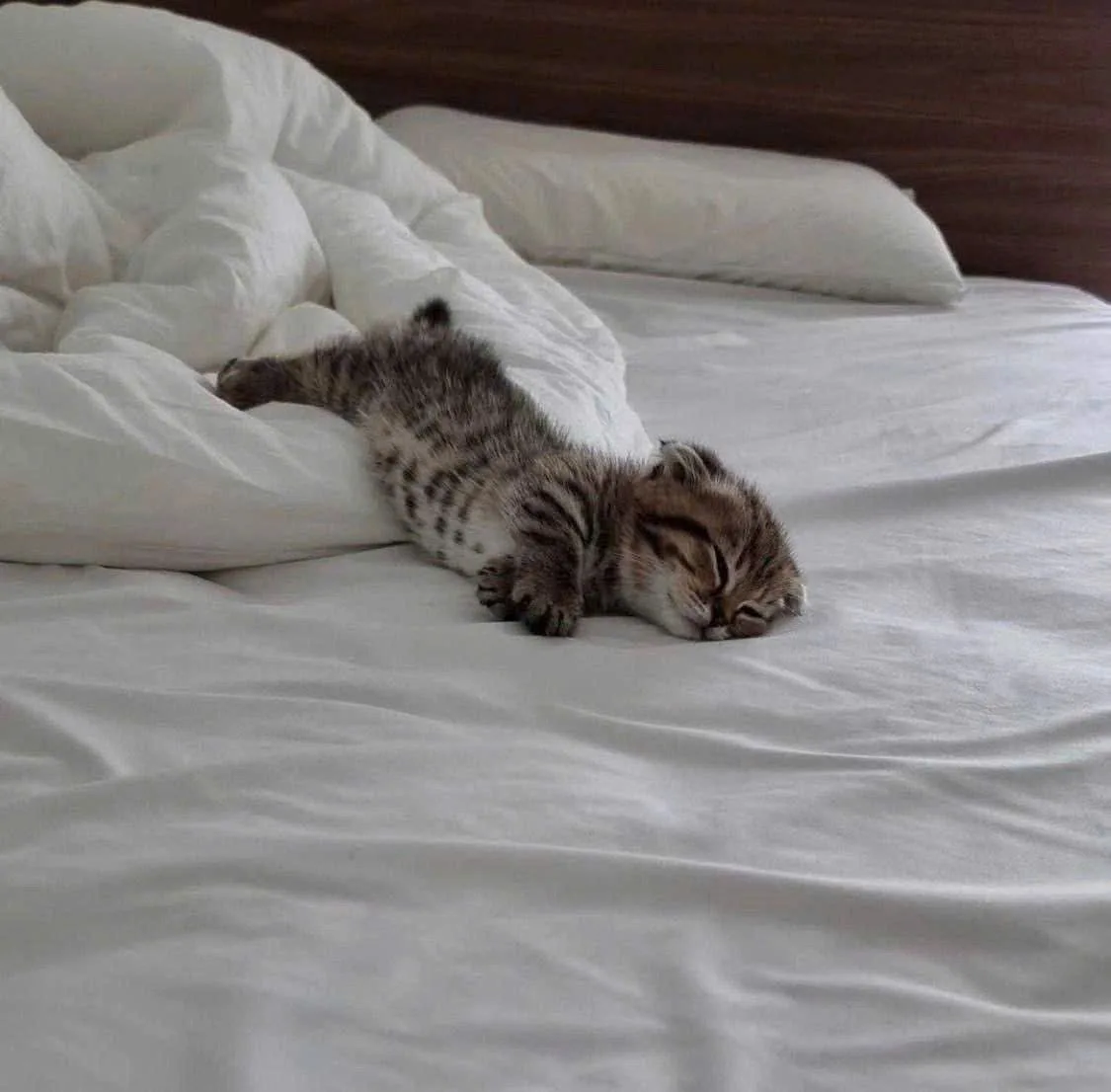 😴 Узнал себя на фотографиях?