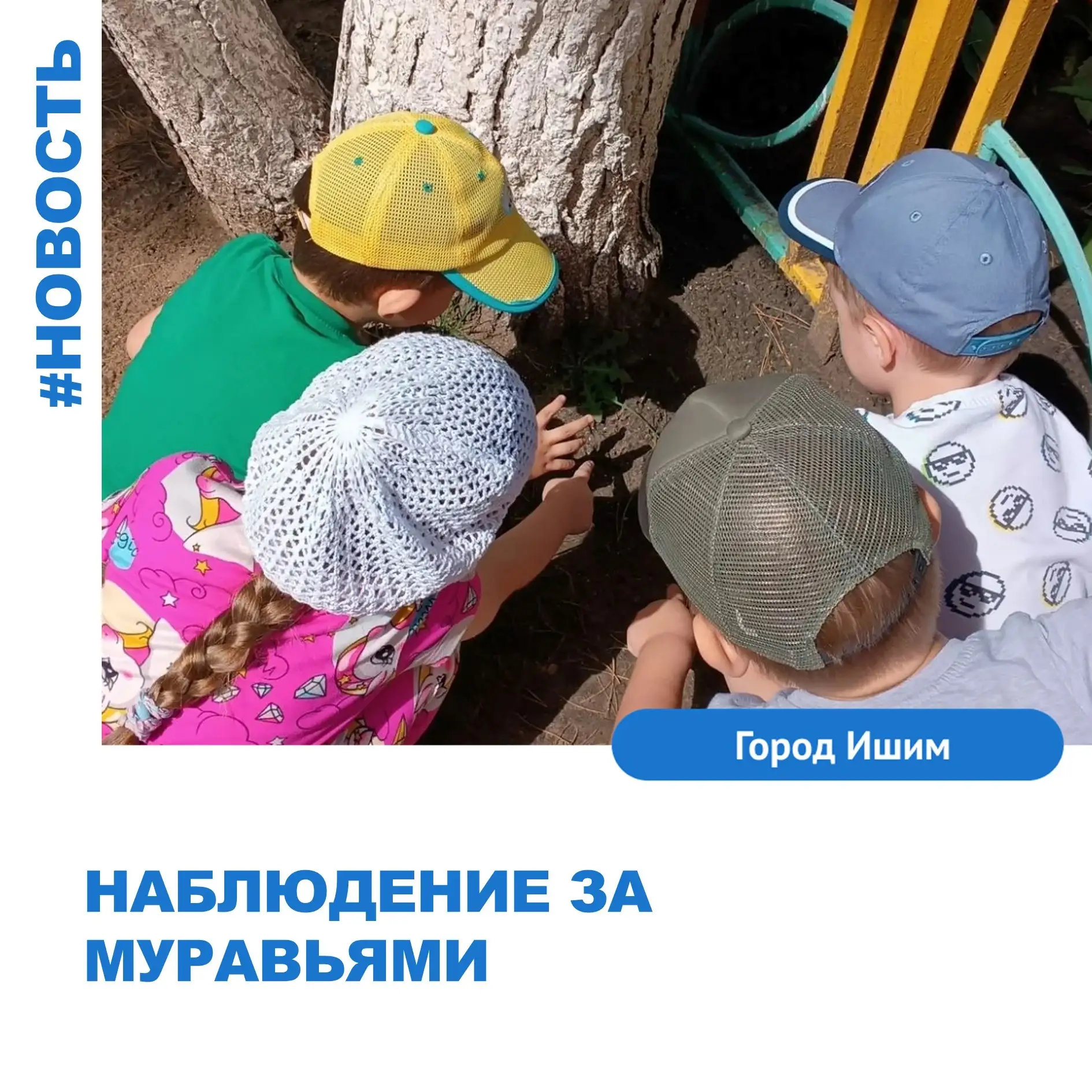 Сегодня в старшей группе "Карлсон" прошло настоящее научное исследование. Объектом изучения стал мал