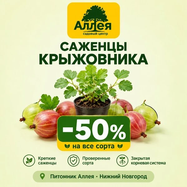 🌱 Хотите обогатить свой сад роскошными растениями?