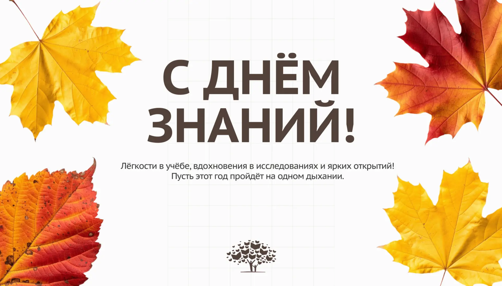📚🍂1 сентября — отличный повод напомнить себе, что учиться интересно в любом возрасте.