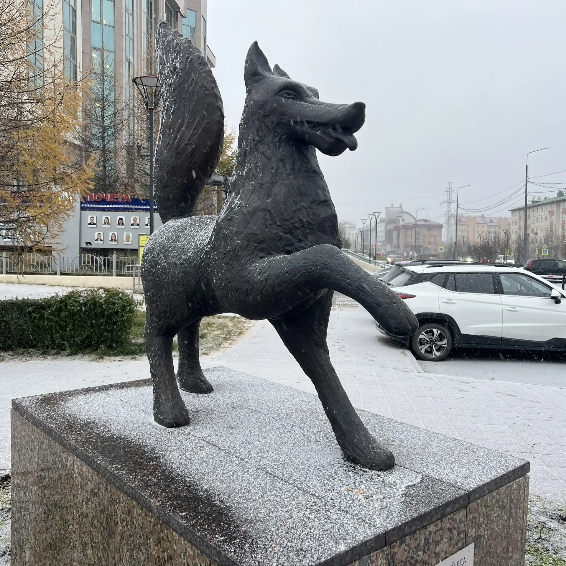 С первым снегом, салехардцы ❄️