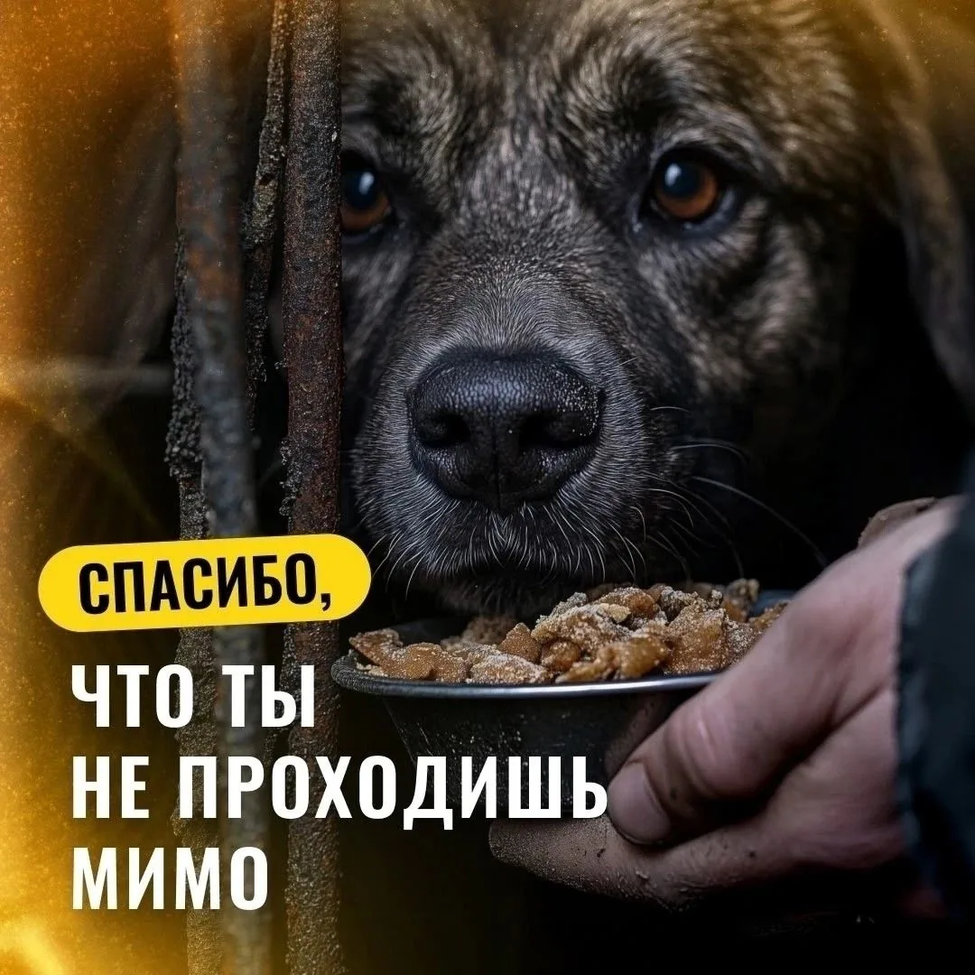 Спасибо, что вы не проходишь мимо!