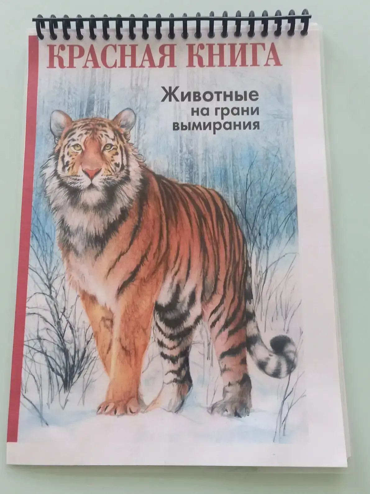 Воспитанники разновозрастной группы познакомились с Красной книгой России. "Всемирный д...