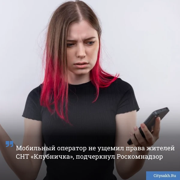 🤡 К такому выводу пришел Роскомнадзор по результатам рассмотрения запроса редакции Citysakh.ru о сит