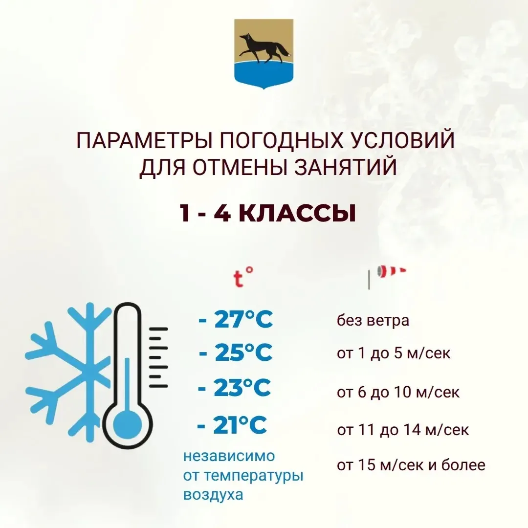 В Сургуте скорректированы критерии для объявления неблагоприятных погодных условий (актированных дне