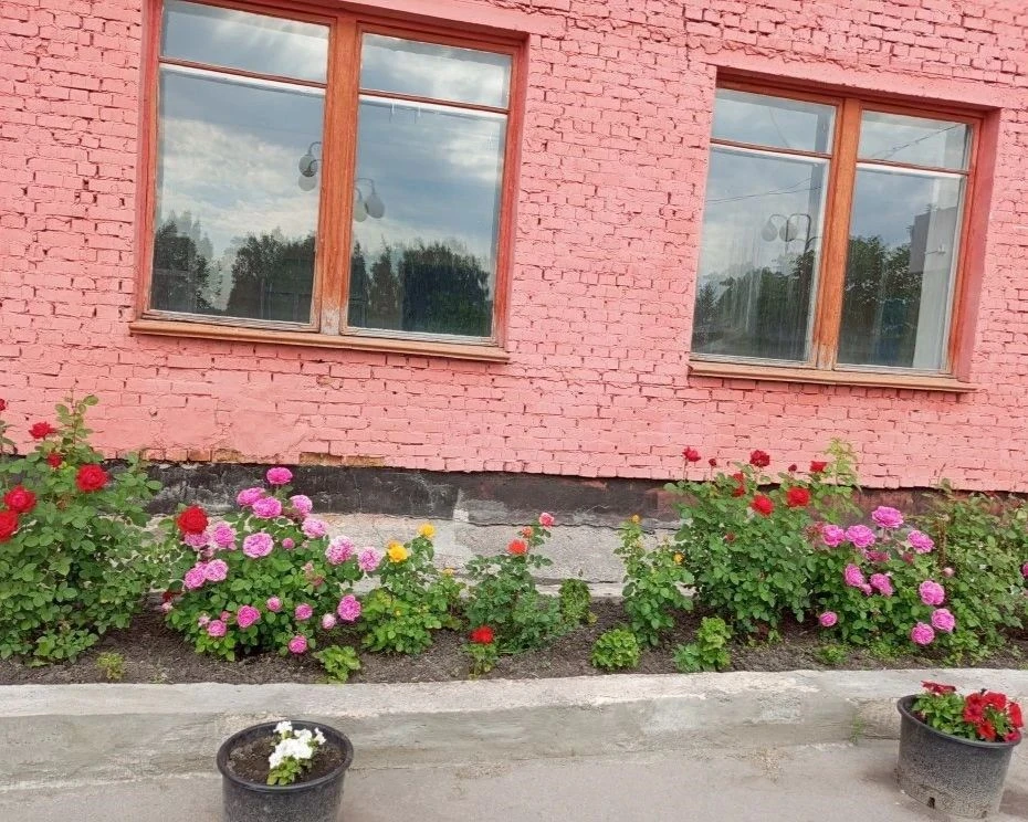 #культурагурьевскогоокруга#сдкраздольный
   💐Не первый год настоящий розарий украшает площадь Дома 