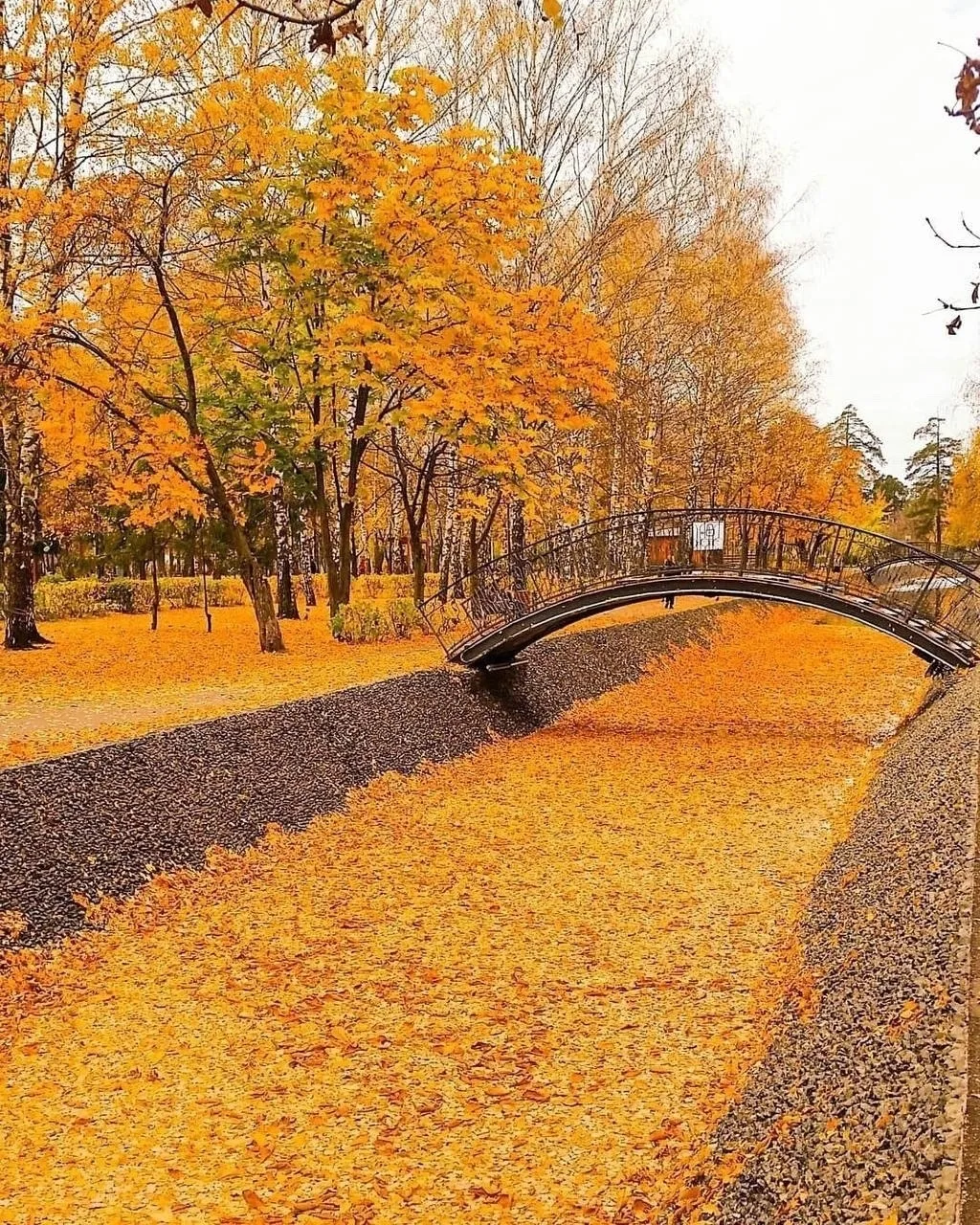 Парк Урицкого 😍