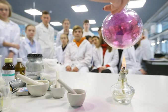 Школьную математику, физику и химию предложили сократить на 20-30%