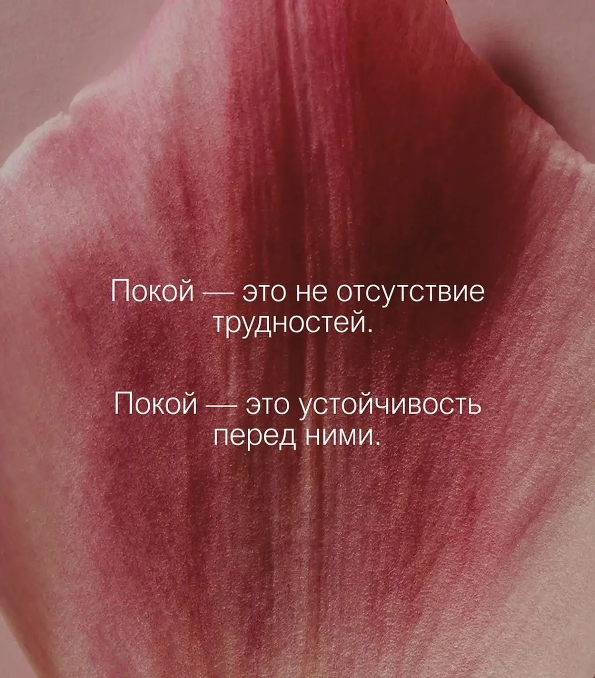 Доброе утро, друзья 🩷