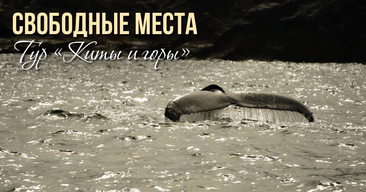 Тур «Киты и горы»

21-22 июля - 11 мест
25-26 июля - 13 мест
28-29 июля - 15 мест
01-02 августа - 15