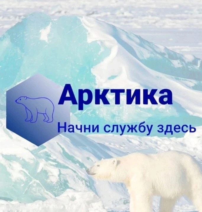 Студенты ЛЭТИ узнали о службе в Арктике