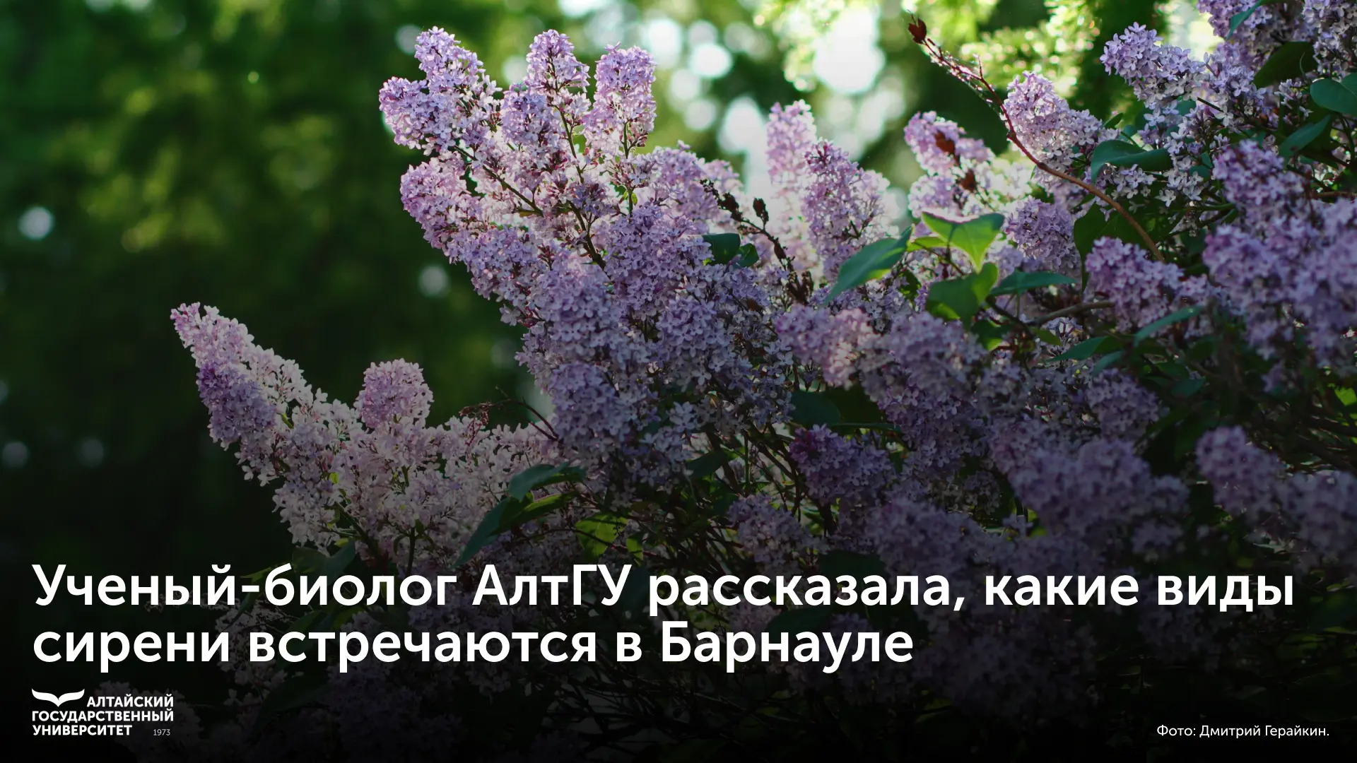 🌸 Ученый-биолог Алтайского государственного университета Ирина Бородулина рассказала, ...