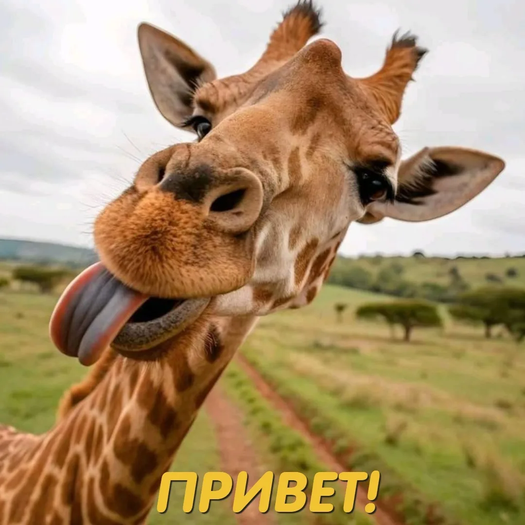 Феличита в эфире 💫