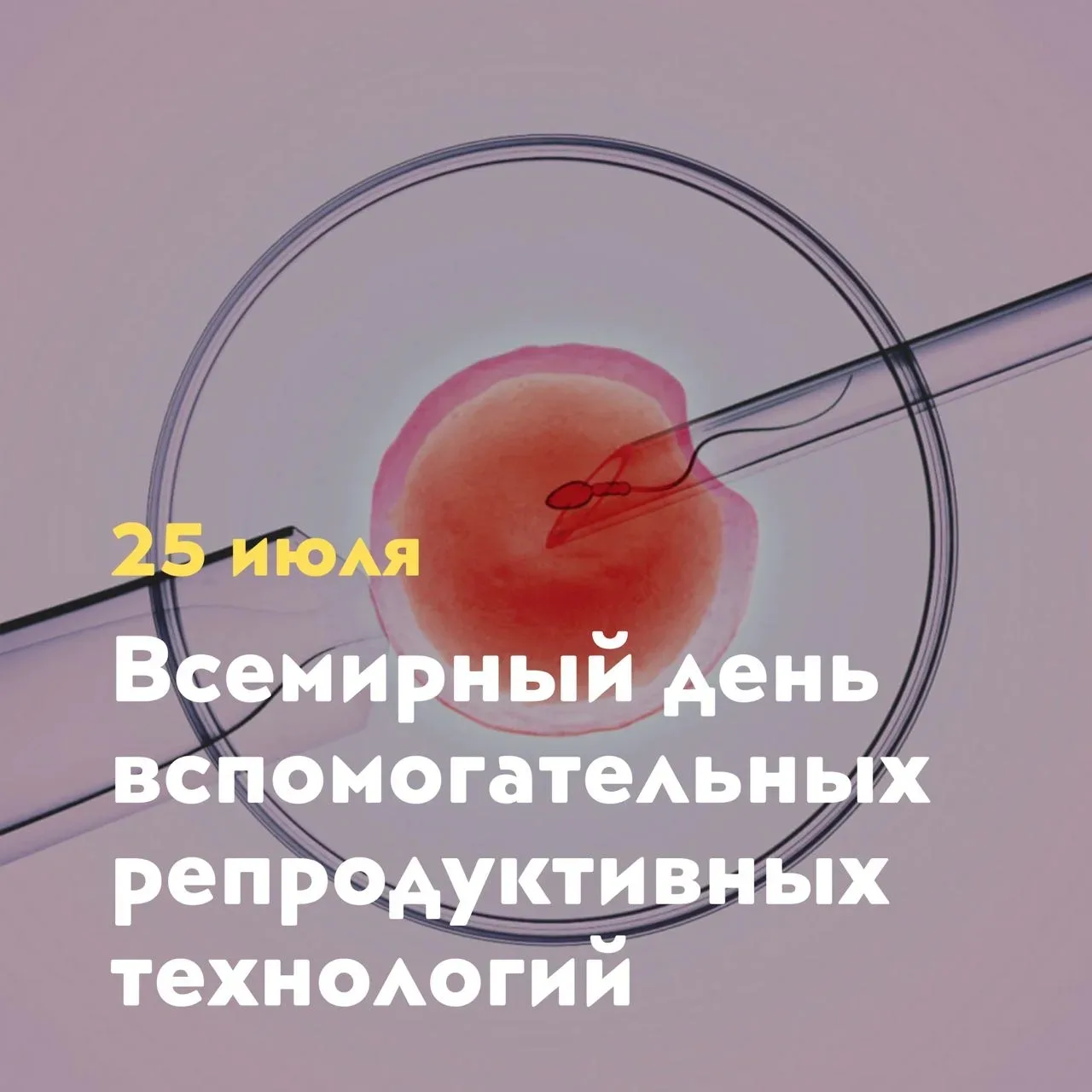 Поздравление с все мирным днем ВРТ.