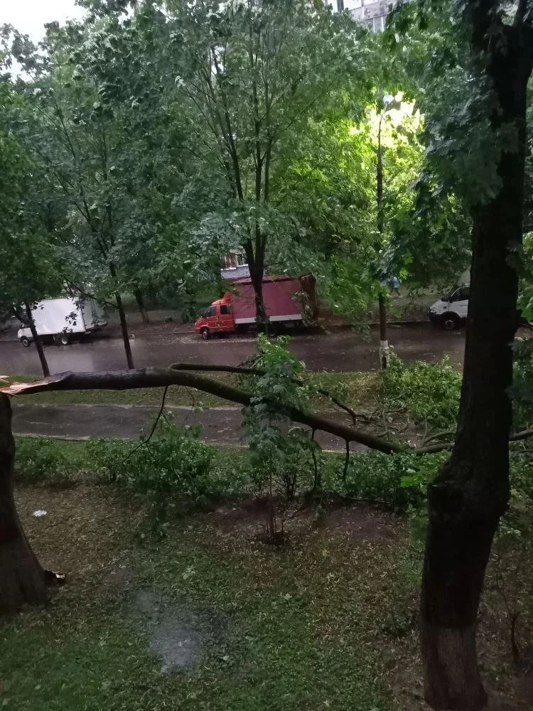 Много поврежденнных деревьев в городе. Коммунальные службы продолжают устранять последствия непогоды