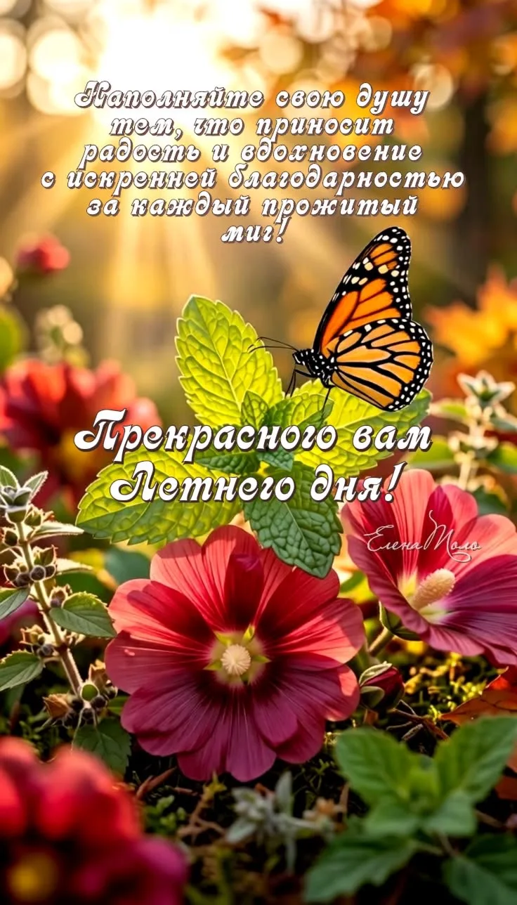💌 Добрые открытки в MAX