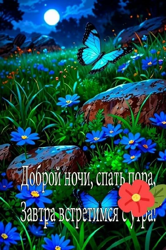 🌷 Открытки подписаться 👈