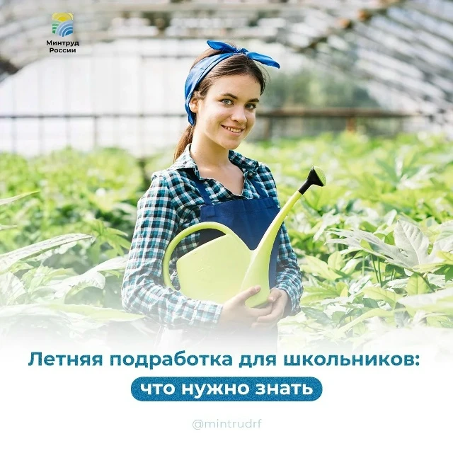 Летняя подработка для школьников и студентов: что нужно знать