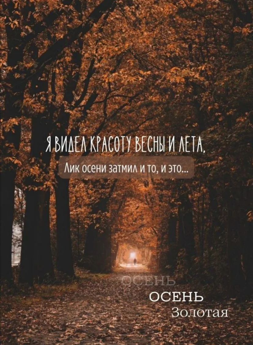 Унылая пора! очей очарованье!