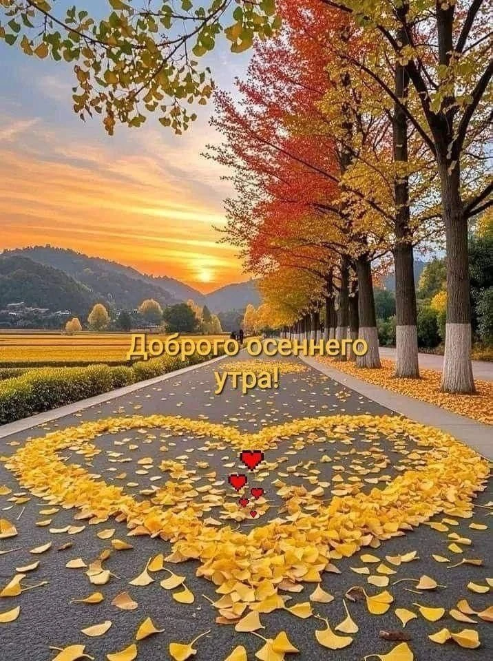 Доброе утро друзья! ❤️