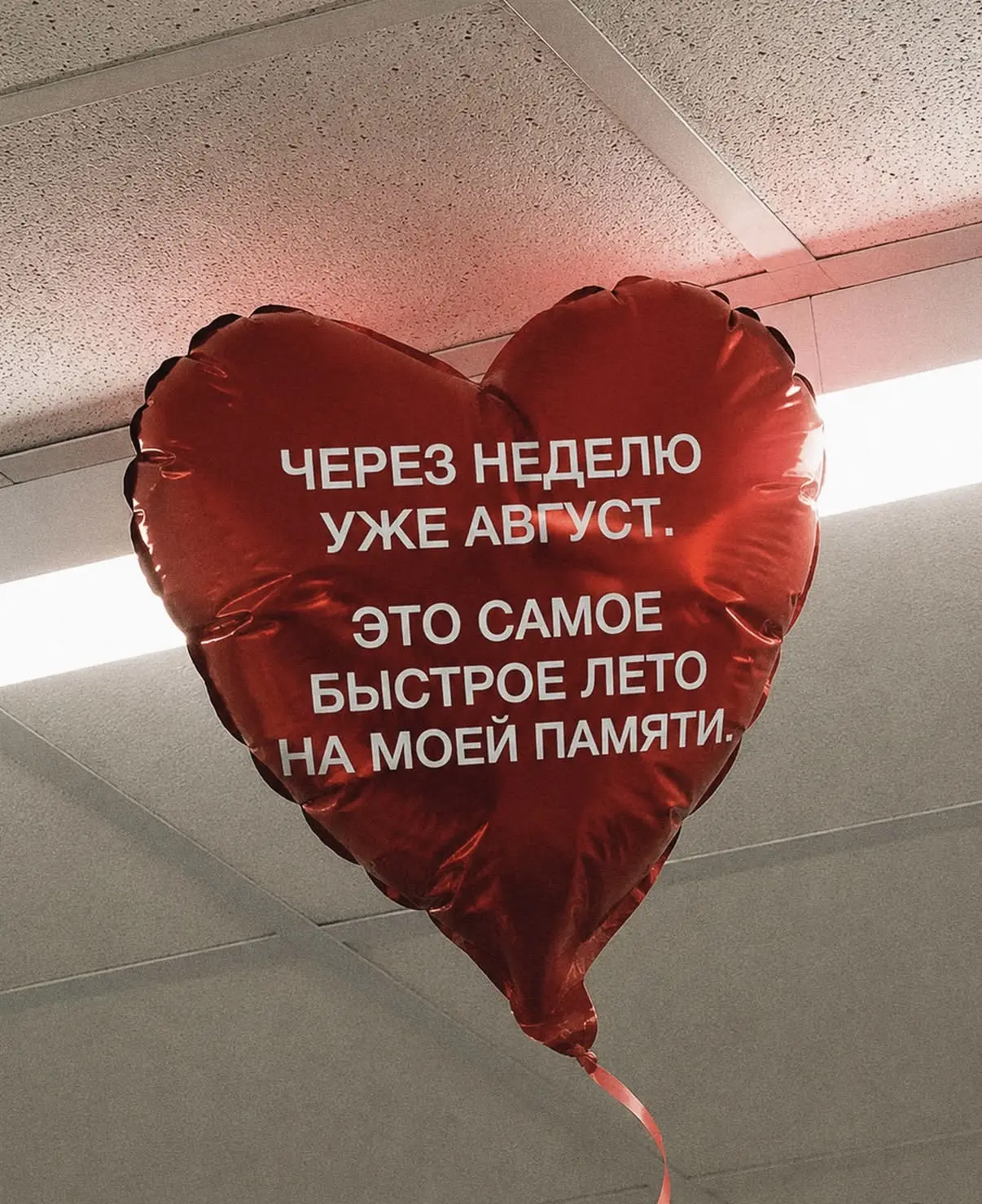 Подписывайся на нас!