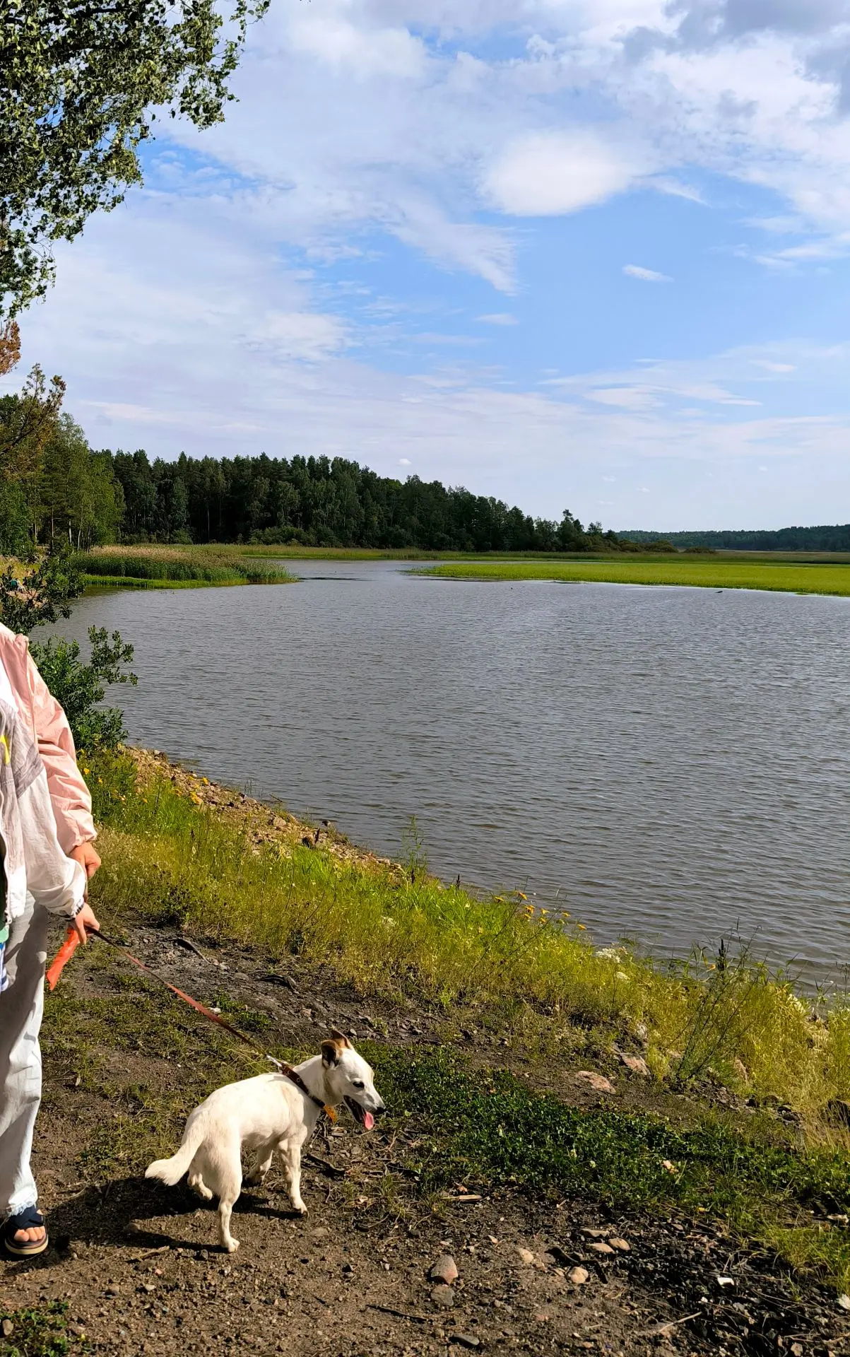 #психологнадаче

Сегодня решили прокатиться до Вуоксы. К даче близко, просторы невероятные.

Племянн