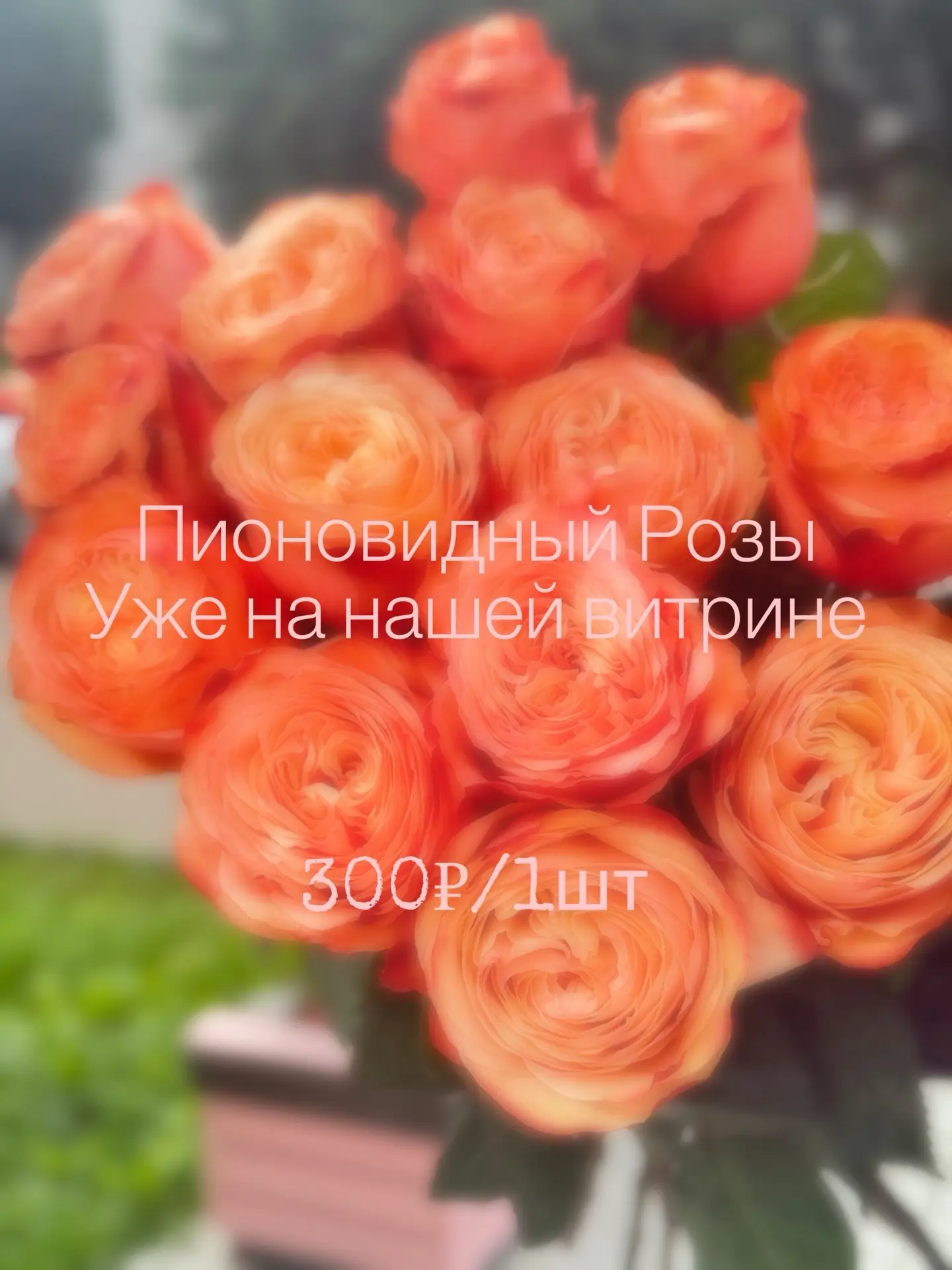 Шикарные Пионовидные розы в наличии🧡