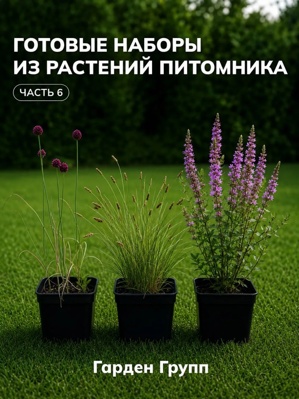 🌿☘️ Готовые сеты от питомника растений Гарден Групп (часть 6)