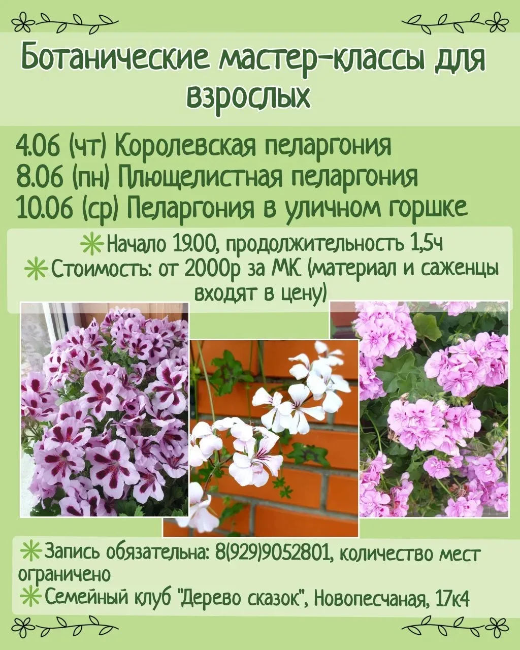 🌿 Приглашаем взрослых на серию ботанических мастер-классов для начинающих цветоводов.🌿