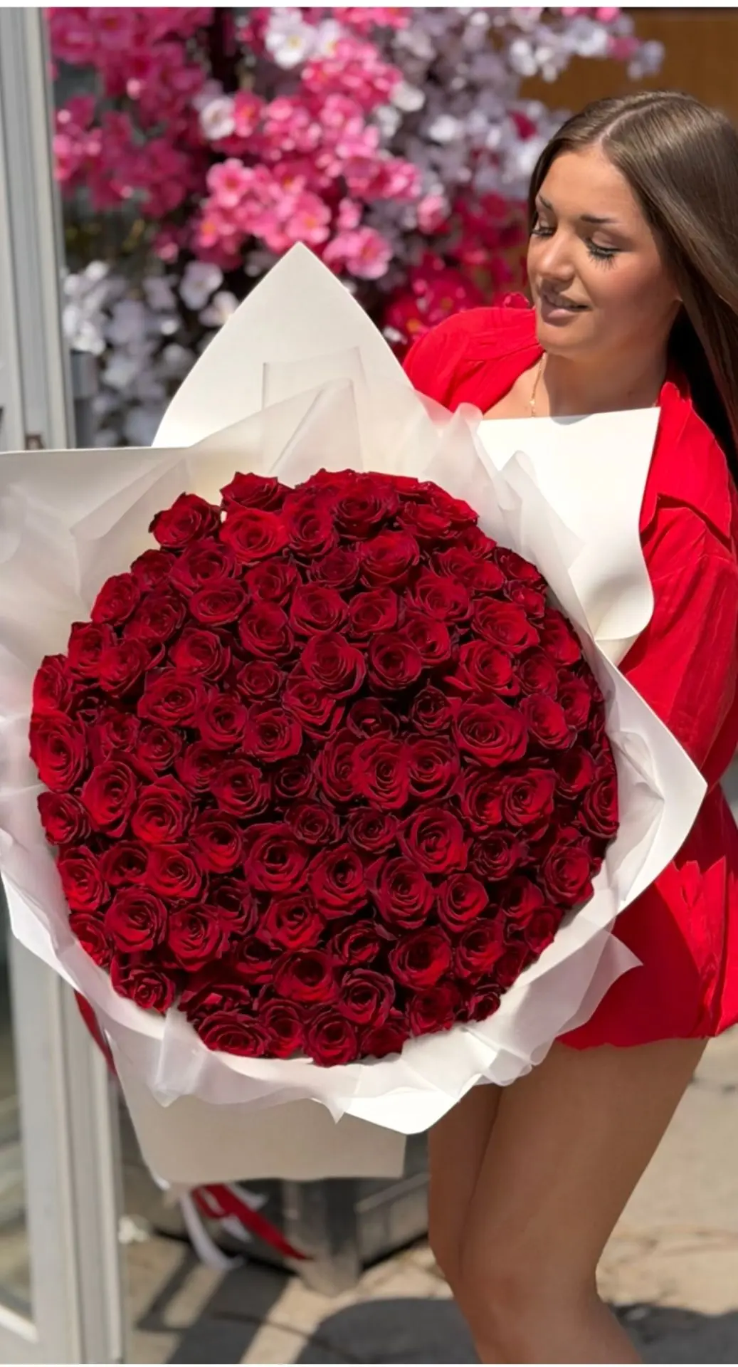 🌹🌹🌹🌹🌹🌹🌹🌹🌹🌹🌹