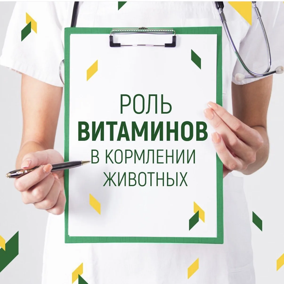 ☘️Роль витаминов в кормлении животных

Витамины обладают выраженной биологической активностью. Высту