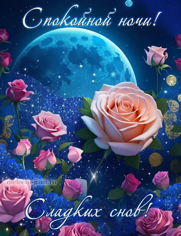 Доброй ночи! Чудесных сновидений! До завтра! ✨🌙