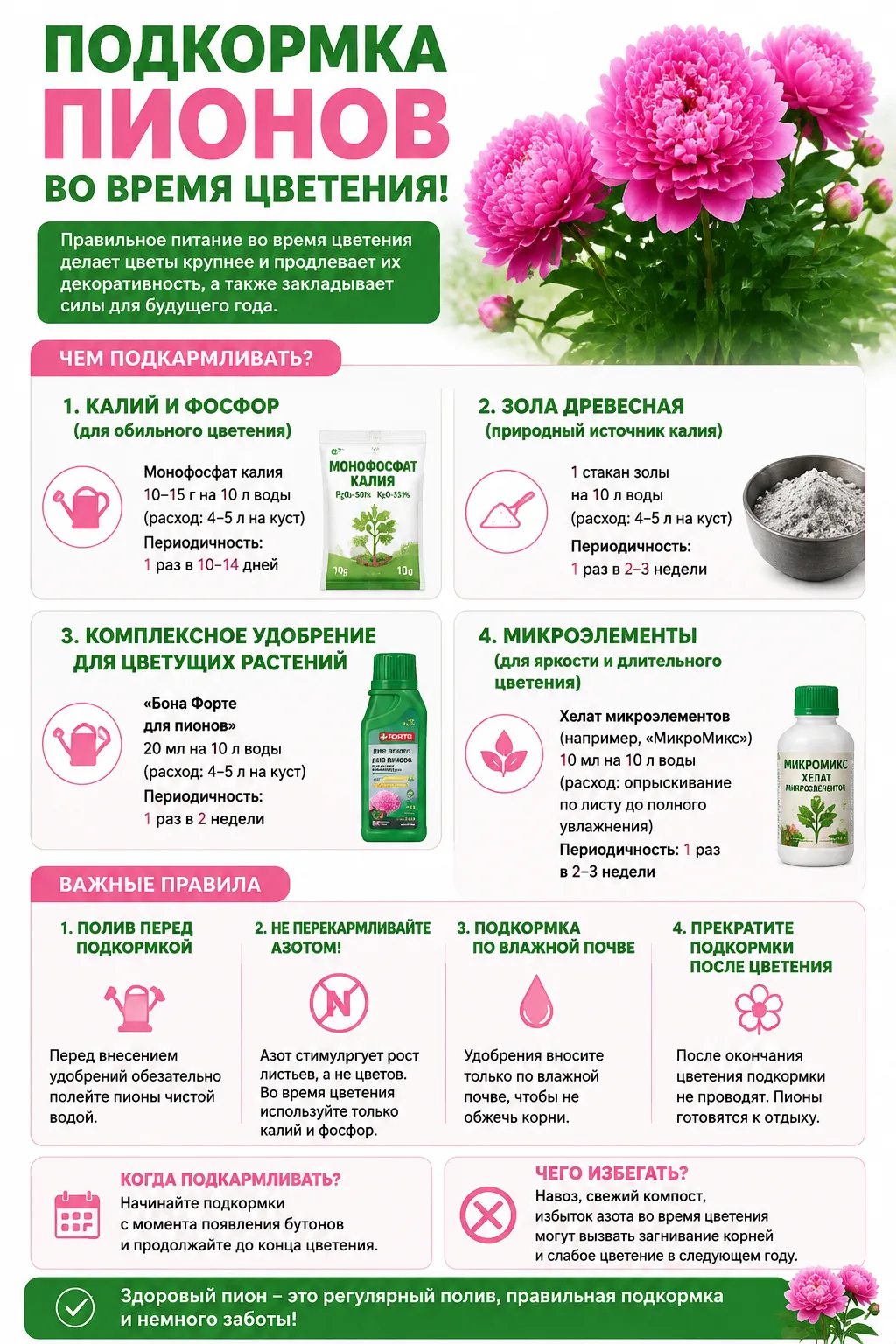 Подкормка пионов во время цветения