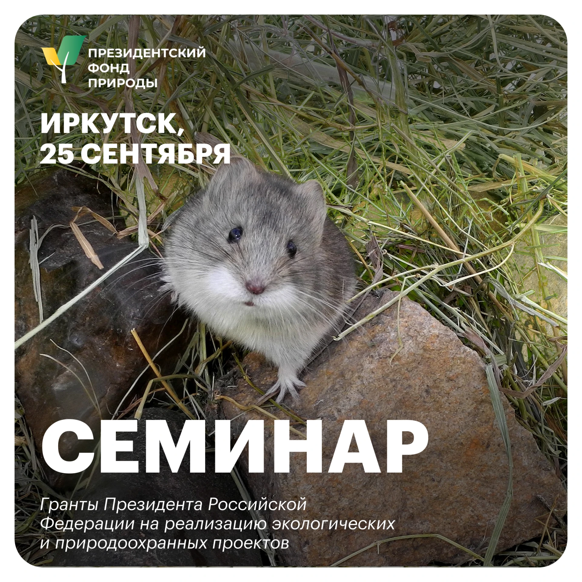 Семинар Президентского фонда природы в Иркутске