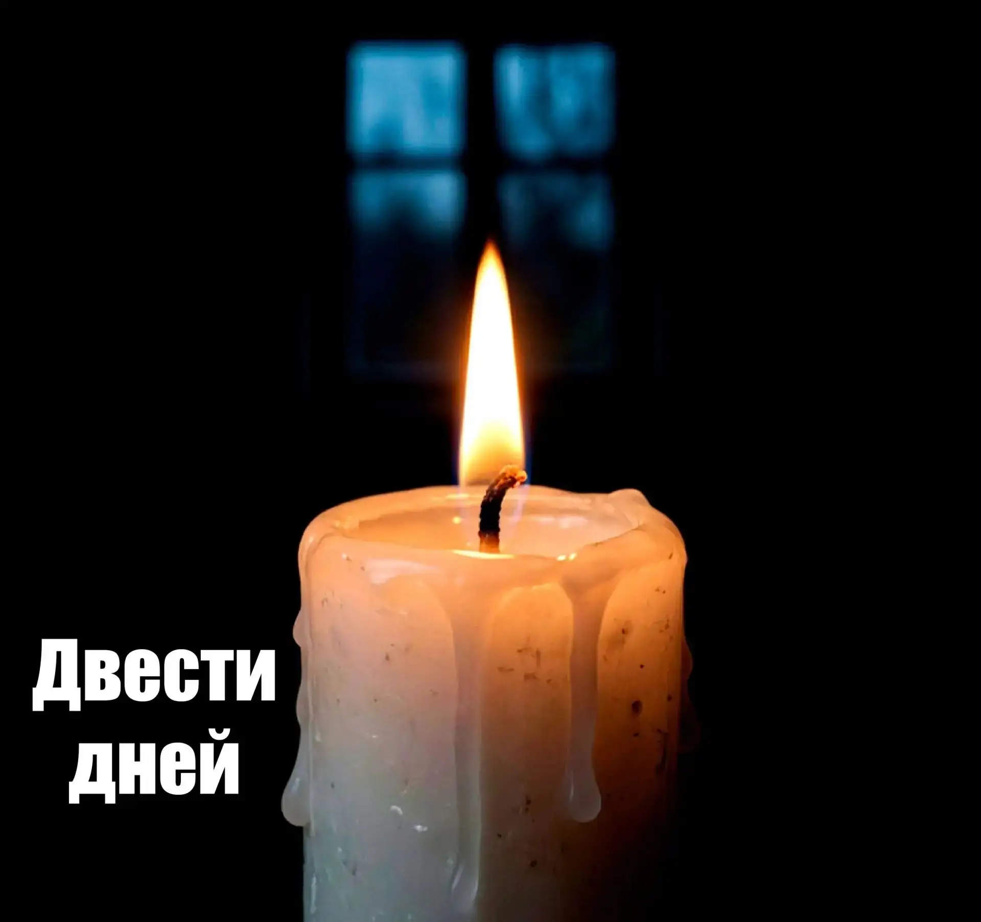 Двести дней гробовой тишины,