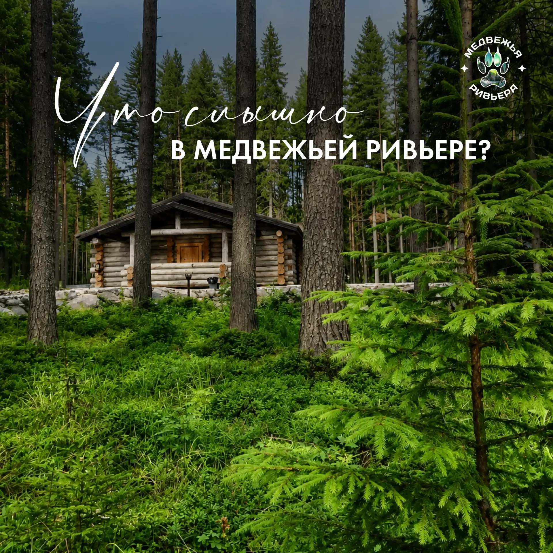 Что слышно в Медвежьей Ривьере? 🌲